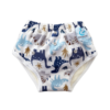 Culotte d'apprentissage Astor